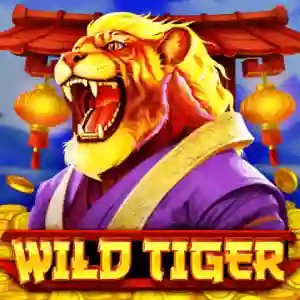 Wild Tiger online slot from BGAMING – play at dragoncasino.de